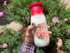 -南诏风情岛