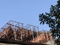 -国生茶庄·地道农家菜团建活动