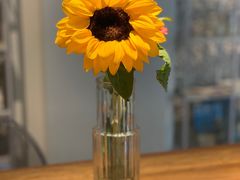 -齐玉齿科JADENTAL