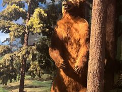 -陕西自然博物馆