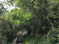 -灵岩山风景区