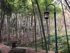 -杭州黄龙洞