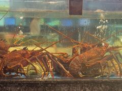 -聚福宝合苑食府(南头镇店)