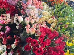 -循礼门鲜花花市(武汉循礼门店)