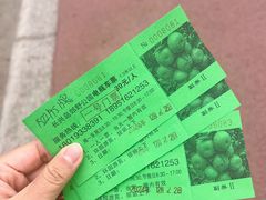 -上海长兴岛郊野公园