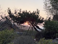 -杭州桐庐康莱德酒店西餐厅-舍