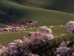 -伊犁河景区