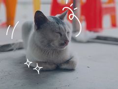 -盛香亭热卤(永旺梦乐城店)