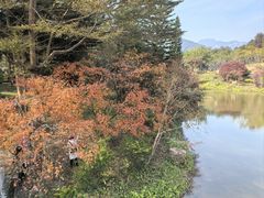 -田野绿世界