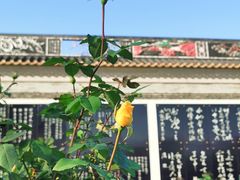 -宝墨园景区