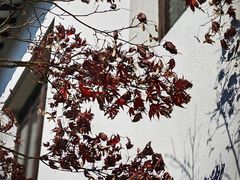 -中国湖笔博物馆(莲花庄路)