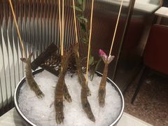 会跳舞的虾-川越泰火锅(吉利大厦店)
