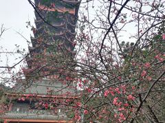 -塔子山公园
