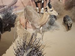 -陕西自然博物馆