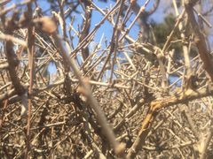 -长春公园(普阳街道)