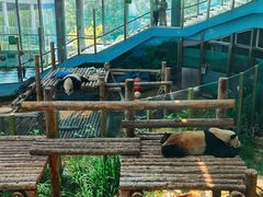 -大连森林动物园