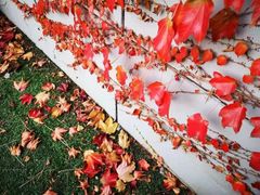 -大连市第二十四中学