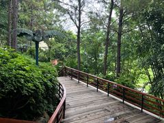-湖泉半山温泉
