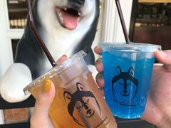 -TrueLove @ Neverland (Husky Cafe)