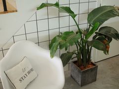 -Hello·生日蛋糕·下午茶·甜品台茶歇(瑞安东山店)
