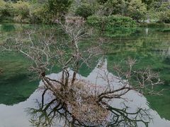 -靖西鹅泉风景区