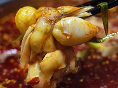 -大拿渔火锅(万豪白领富贵西园店)