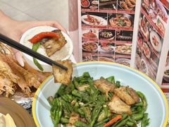 -陶缘一号·四季缘·老字号顺德菜·户外婚礼家宴(西滘店)