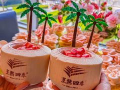 -烹然四季椰子鸡火锅(团结湖总店)