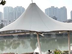 -光明港公园