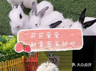 趁着夏日好阳光，出门放松一下吧，家里的小朋友们是不是