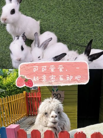 趁着夏日好阳光，出门放松一下吧，家里的小朋友们是不是
