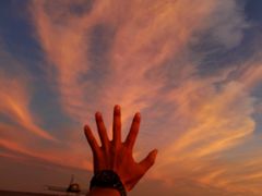 -南汇嘴观海公园