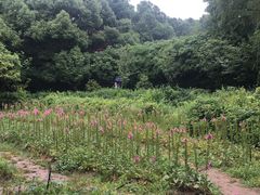 -白马涧龙池景区