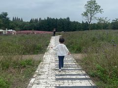 -同里国家湿地公园