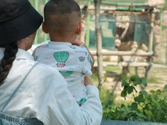 -鄂尔多斯野生动物园