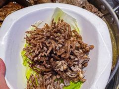 -浩爷羊蝎子火锅(望京店)