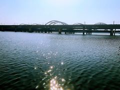 -灞河西岸滨河公园