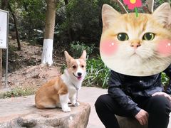 -火炉山森林公园