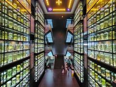 -广东中医药博物馆