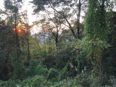 -茶颜悦色(岳麓山顶店)