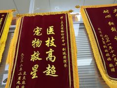 -美美宠物诊疗中心·异宠·骨科(滨江东信分院)