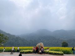 -广州市石门国家森林公园