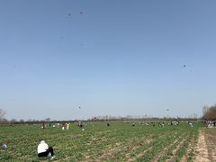 -汉长安城未央宫国家考古遗址公园