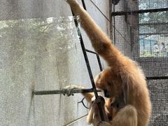 -昆明动物园