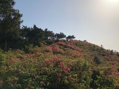 -木兰云雾山
