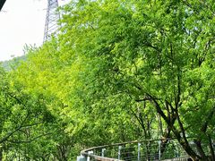 -西湖风景区-江洋畈生态公园