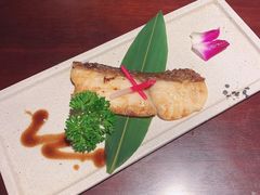 烤银鳕鱼-江户家日本料理(淮海路店)