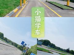 -胜华驾校·小猫学车(银都店)
