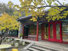 -宫事颐庭·老佛爷贵寿下午茶(颐和园店)