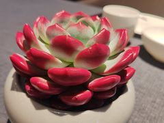 -喜湘宴·精致湖南菜(和平西桥店)